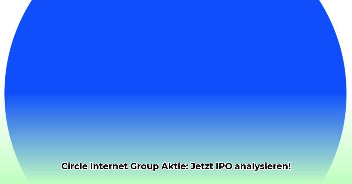 circle-internet-group-aktie